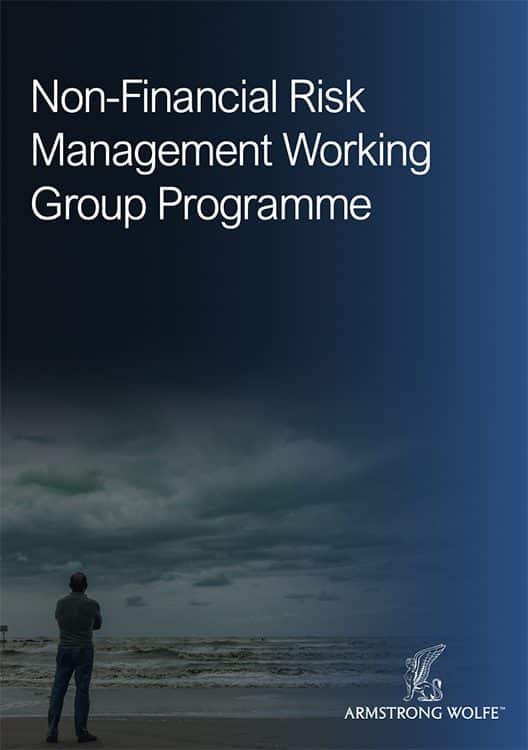 Non-Financial Risk Management Working Group Programme